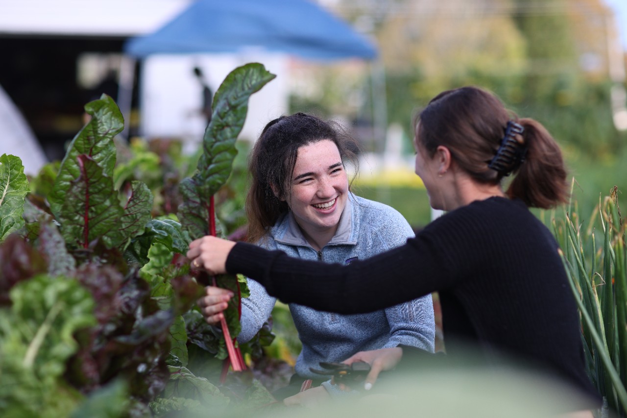 2 students kneel in a chard patch. One faces the camera smiling.