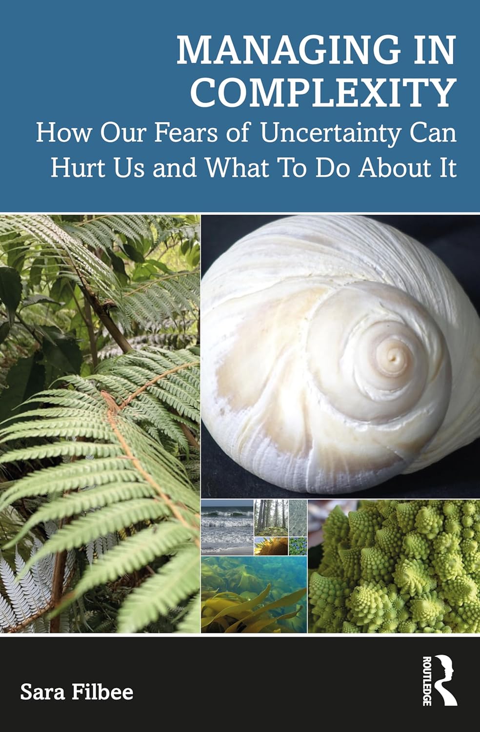 The cover of Sara Filbee's book, Managing in Complexity with insets of natural objects and scenes.