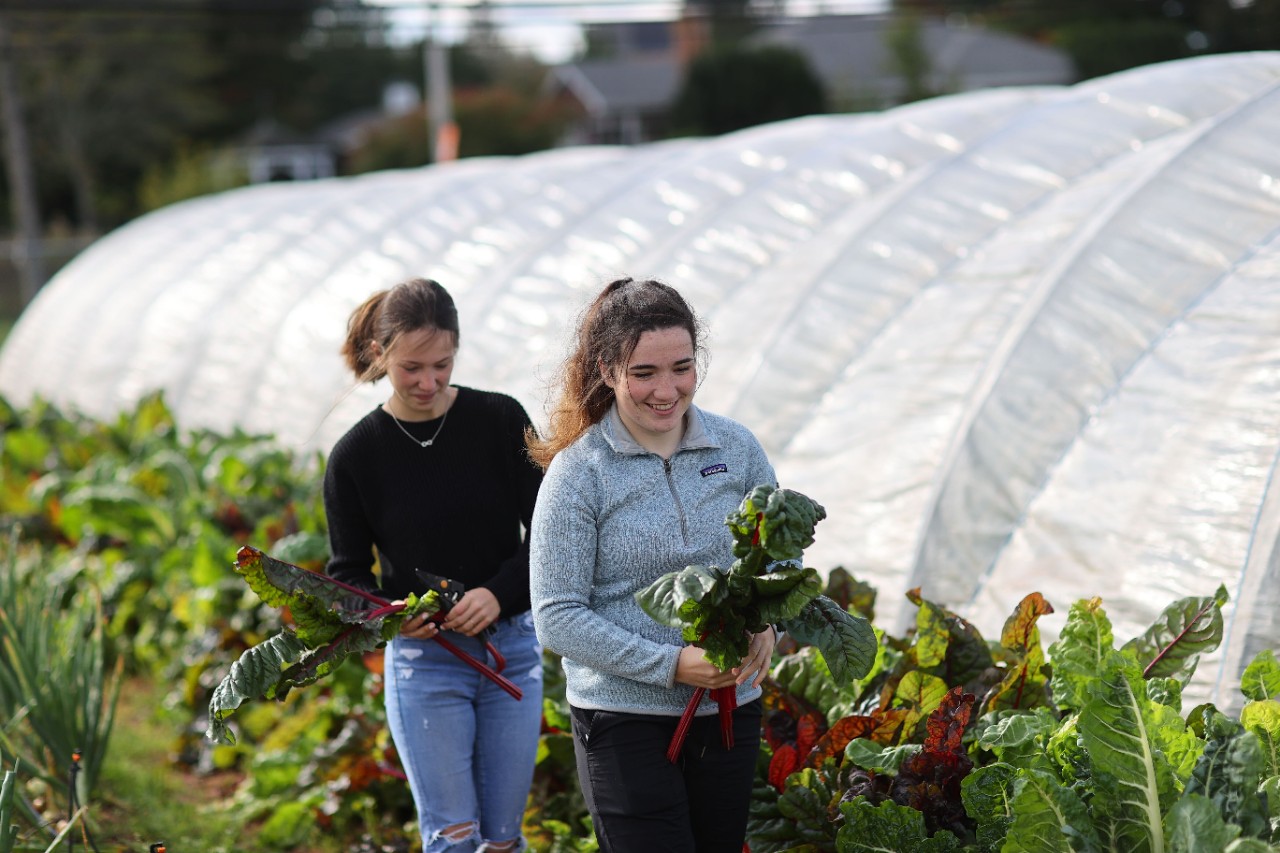 Two smiling students walk through the narrow path of an urban garden space, carrying leafy greens.  
