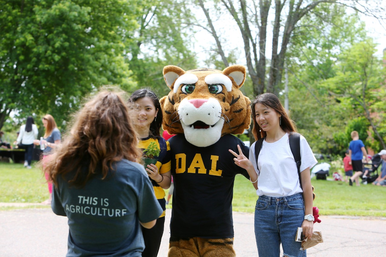 A pair of students pose on either side of Dal's Tiger mascot for a photo. 